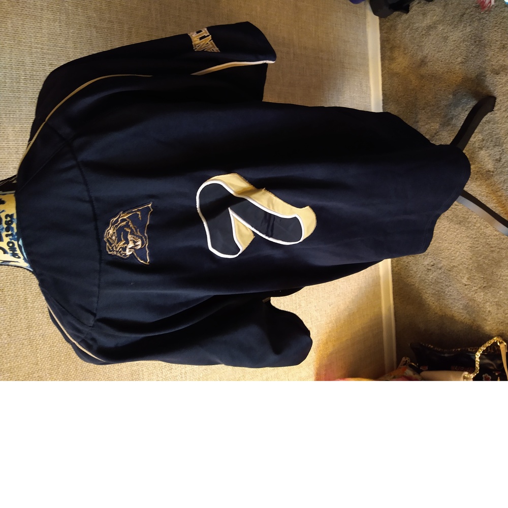 COLOSSEUM ATHLETICS PITTSBURGH PANTERS SHORT SLEEVE JERSEY - SZ M - Picture 5 of 8